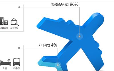 Korean Air Infographic.