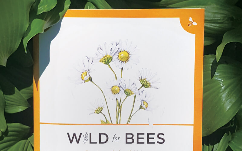 wild for bees