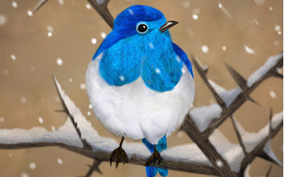 Winter Bird