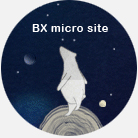bx micro site
