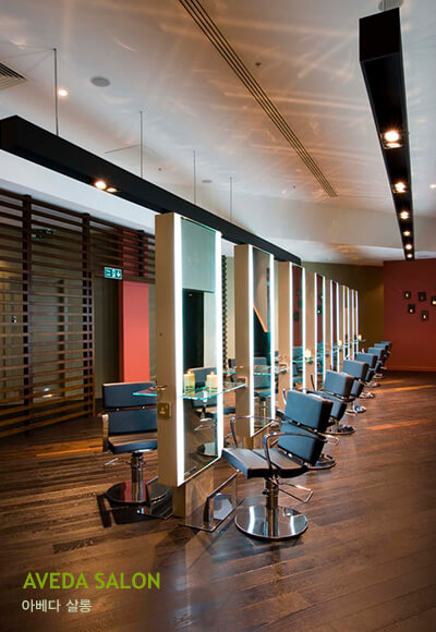 AVEDA SALON 아베다 살롱