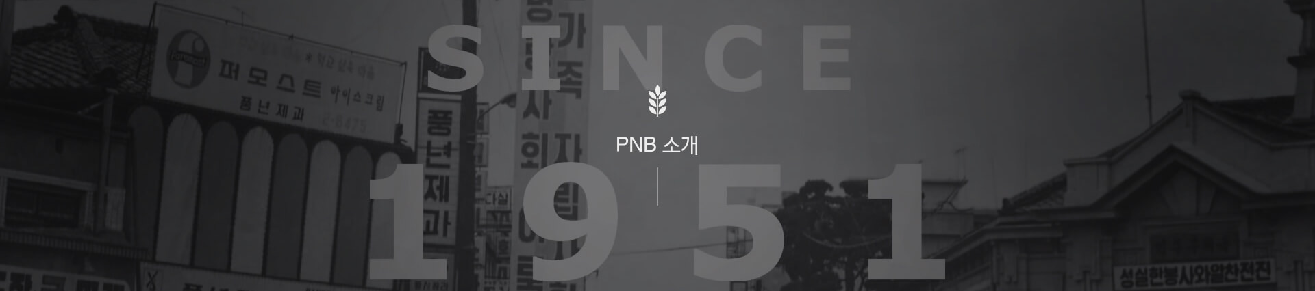 pnb소개