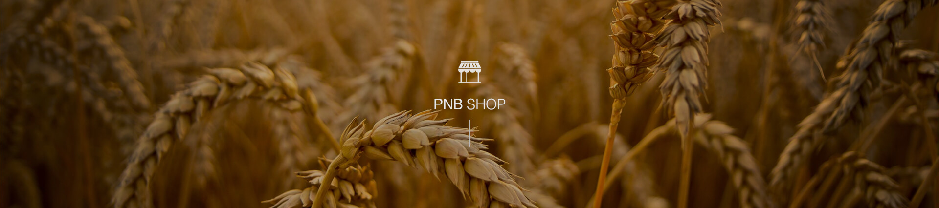 pnb shop