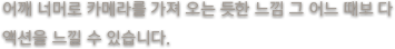 본문 내용