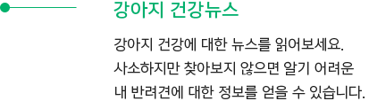 설명